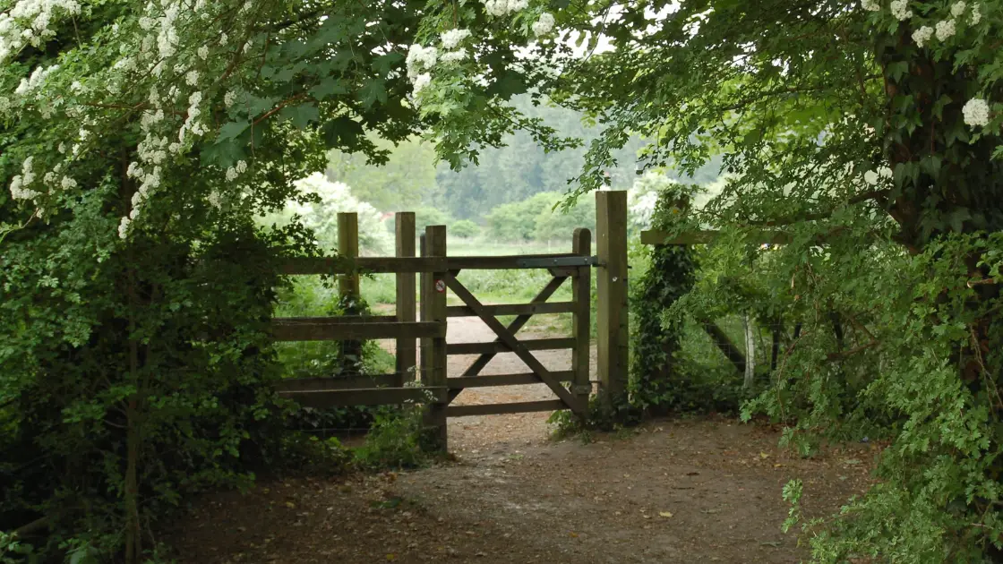 Gate Installation & Repair